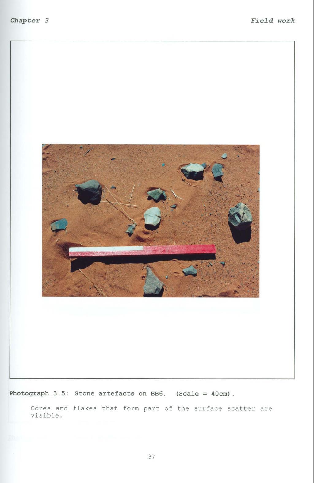 Fied work Photograph 3. 5: Stone artefacts on BB6. (Scale = 40cm).