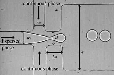 on: capillary number, geometry, and ratio of the flows of the dispersed and the continuous phases.