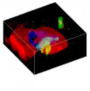 D confocal Raman image of a fluid inclusion in garnet (Red: Garnet, Blue:
