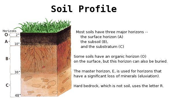 Definition 1 Soil The upper