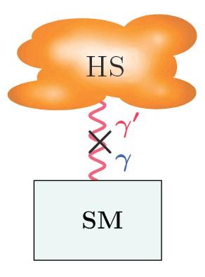 hypothesis to incorporate new physics in the SM: the A' acts as a portal between the SM and the new sector Under