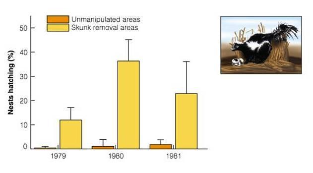Mean hatching rates for upland duck nests in N.