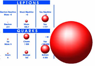 The heaviest quark Top is important because it s such a