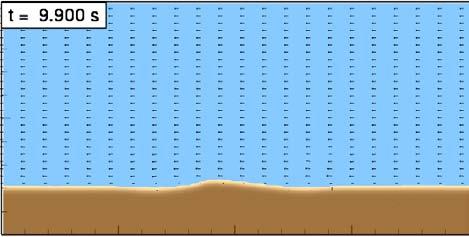 Figure 1. Concentration field of sand (brown contours) and velocity vectors of the sand ripple after 2.