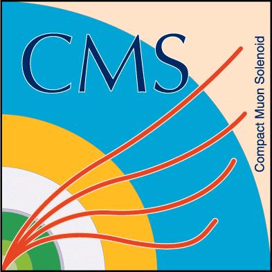 The CMS detector Onion structure: Tracker