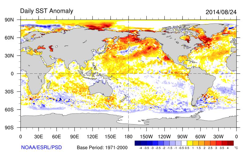 Weekly Weather Briefing Daily Global SST Anomalies as of 8/24/14 Note the lack of a strong El Niño signature along eastern Equatorial Pacific.
