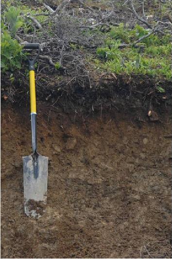 Abbreviations SM = soil moisture Soil pit at Mt.