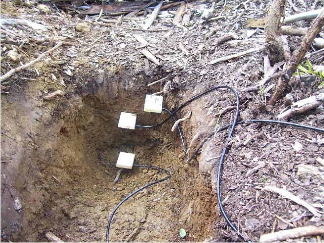 The Project Set out to monitor soil moisture at 3 depths Allows us to track how soil moisture moves vertically through the soil profile Sampled root