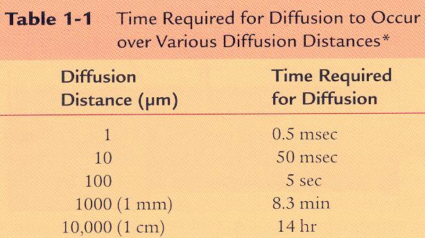 4 Time required for diffusion as