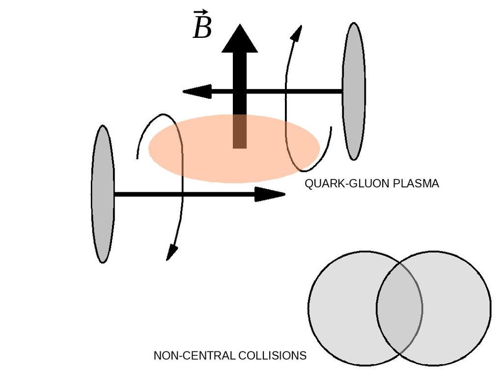 The magnetic field in heavy-ion collisions In heavy-ion collisions, two magnetic fields from the projectiles