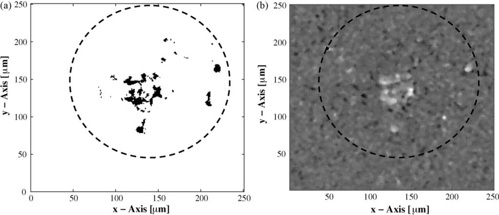 354 J. Jamari, D.J. Schipper / Wear 264 (2008) 349 358 Fig. 7. Isotropic aluminium surface before contact is applied (a) and location (not size) of the corresponding asperities (b).