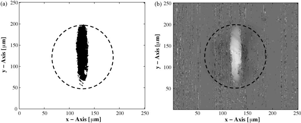 356 J. Jamari, D.J. Schipper / Wear 264 (2008) 349 358 Fig. 11. Contact area of the anisotropic aluminium surface after the first load cycle: (a) model and (b) experiment. contact simulations.