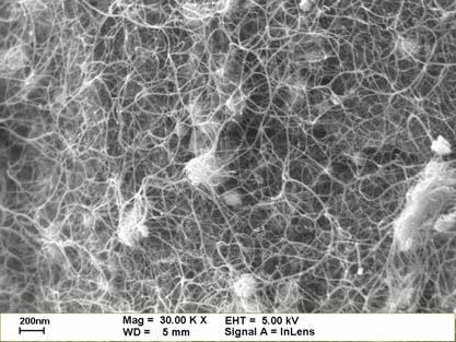 Effect of Mo Addition Figure 2 shows the FE-SEM images of CNTs synthesized using different catalyst supports and iron sources with the addition of Mo.
