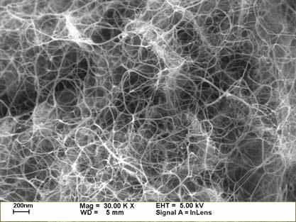 FE-SEM images of CNTs synthesized using different catalyst supports and iron sources with the addition of Mo: Fe(NO 3 ) 3 -Mo/MgO, 5wt%, Mo/Fe= 0.1, 0, Fe 2 (SO 4 ) 3 -Mo/MgO, 5wt%, Mo/Fe= 0.