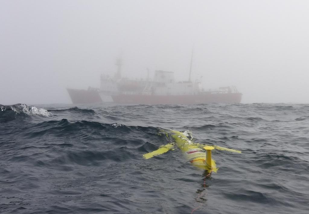 Deploy moorings and AUVs on the Labrador Shelf and in the Labrador Sea Slocum deep gliders with gas and other biogeochemical sensors Deploy surface wave gliders