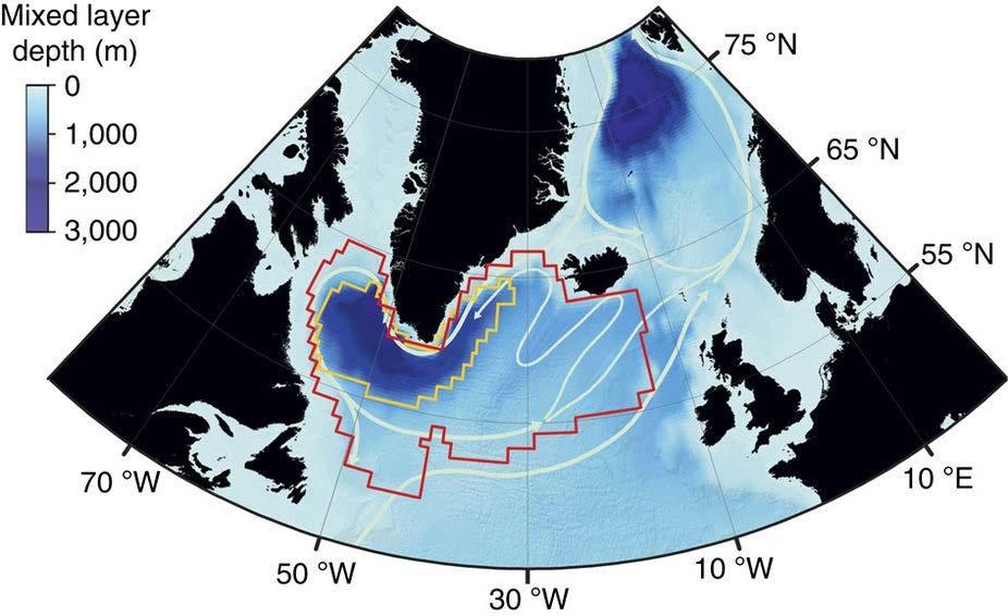 Labrador Sea important for modifica>on of water proper>es through Uncertainty about influence and transport of freshwater
