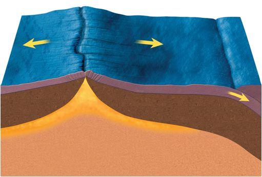 8 At a boundary, two plates move away from each other, and magma rises to form new lithosphere at mid-ocean ridges.