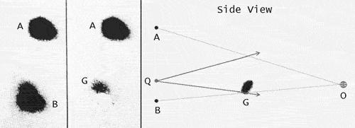 The lensing shows up statistically as a preferred stretching of the background objects perpendicular to the direction to the center of the lens The Double Quasar