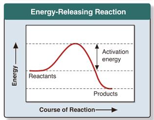 In other words, in one direction, the reaction energy and in the opposite, it requires energy Target 28 - Explain why chemical reactions are important in biology. A.