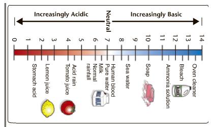 ph= ph= Target 11 - Use the ph scale to explain the strength of acids and bases. A. The ph scale has a range from 0 14. B. ph between 0 and 7 is acidic (the more H+ ions, the stronger the acid). C.