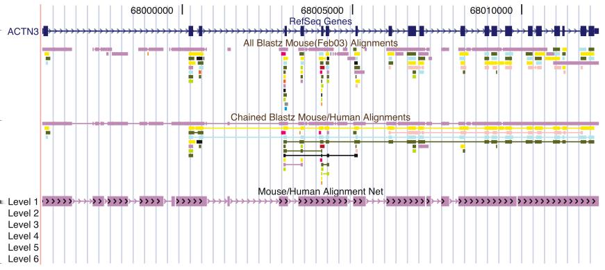 Maneesh Bhand BIOC 218 Final Project 6 Figure 2: Mouse/human alignments as shown in the UCSC Genome Browser [17].