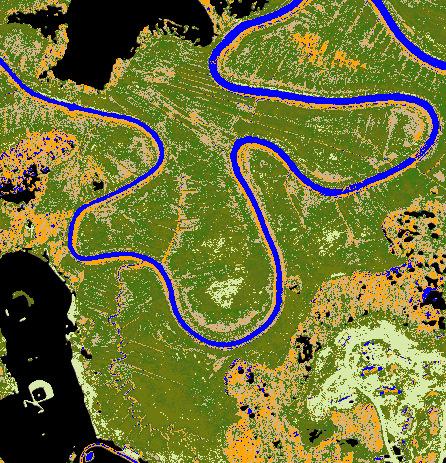 Unsupervised Classification (ISODATA) Estuarine Marsh Plant Community Mapping
