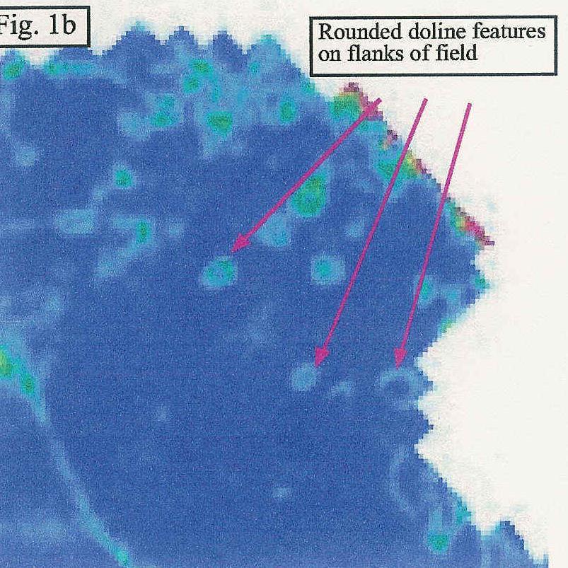 Poza Rica 3D Seismic (Time slice) Sinkholes in