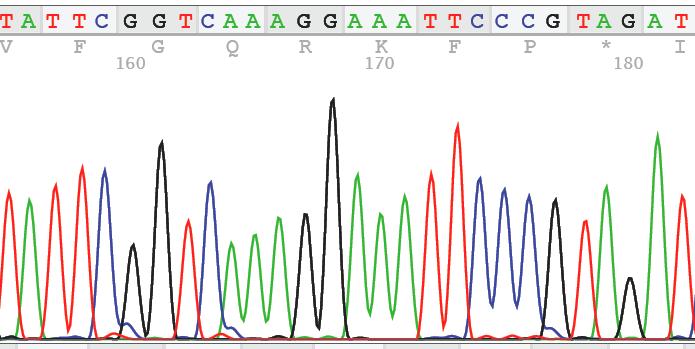 Barcode DNA