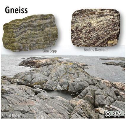 Figure 10.17 Gneiss, a coarse-grained, high grade metamorphic rock, is characterized by colour bands. Top- Hand samples showing that colour bands can be continuous (left) or less so (right).