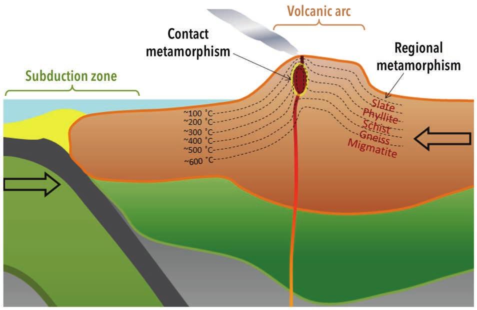 Contact Metamorphism Contact metamorphism happens when a body of magma intrudes into the upper part of the crust.