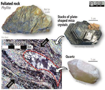 8) CC BY 4.0, modified after Steven Earle (2015) CC BY 4.0. Foliation and Crystal Habit Most foliation develops when new minerals are forced to grow perpendicular to the direction of greatest stress.