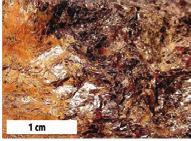 16 Schist, a mediumto high-grade foliated metamorphic rock. Left- Hand sample showing light reflecting off of mica crystals. Right- Closeup view of mica crystals and garnet.