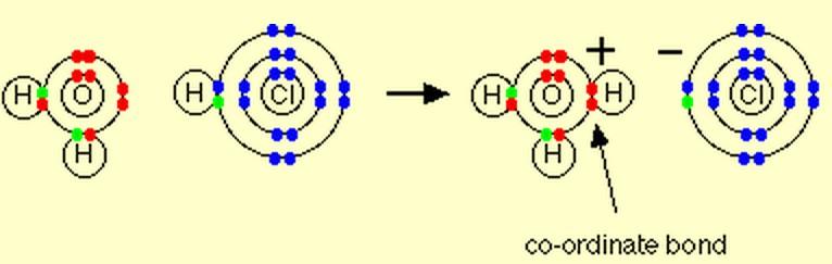 Substances such as water, which can act both as an acids and as a bases