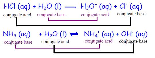 Conjugate acid-base pairs differs by just one proton.
