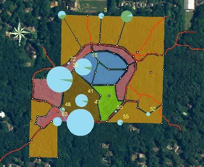 Figure 1. ArcGIS map of garlic mustard plot locations in Kleinstuck Preserve. The size of each dot denotes how much garlic mustard was found in that plot.