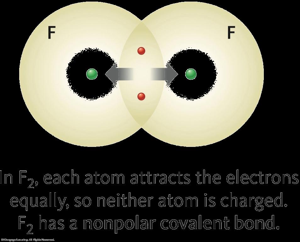 Fluorine attracts the electrons more than hydrogen in HF, so fluorine is partially negative and hydrogen is partially positive.