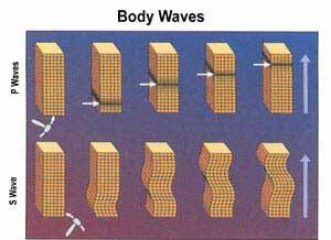 S wave: S (Secondary wave, or shear wave, is a seismic body wave that shakes the ground back and forth perpendicular to