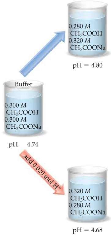 00 L of pure water (neglect any volume changes). Solution Stoichiometry Calculation: The OH provided by NaOH reacts with CH 3 COOH, the weak acid component of the buffer.