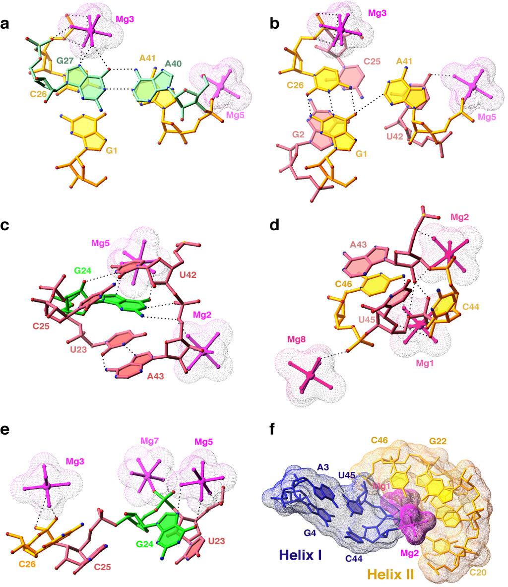 Supplementary Figure 1 Pairing alignments, turns and extensions within the structure of the ribozyme-product complex.