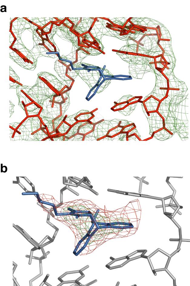 Supplementary Figure 5 Electron density maps of the catalytic pocket of the Diels-Alder ribozyme.