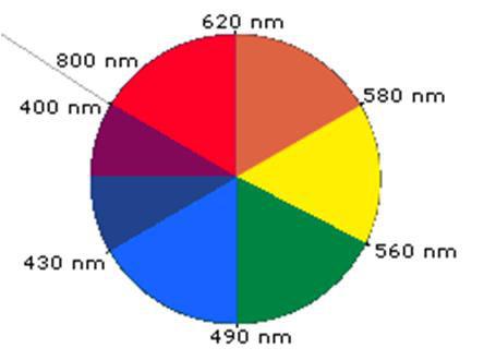 Surname 7 Fig. 13. Color wheel. The wavelength of each phenolphthalein structure was 503.52nm and 212.3nm respectively (see fig. 3 and fig. 4).