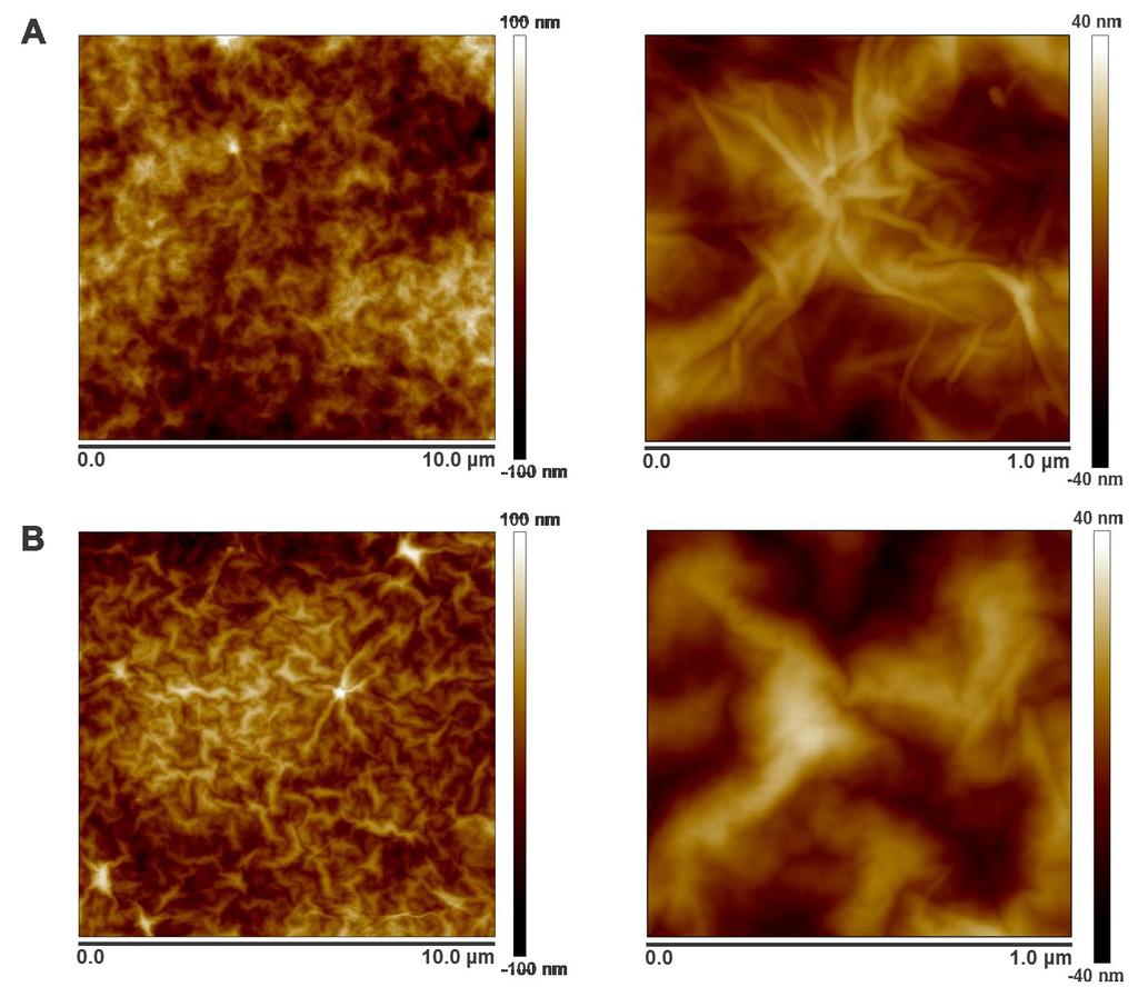 Fig. S6 2D AFM images of (A) a GO-polymer thin-film