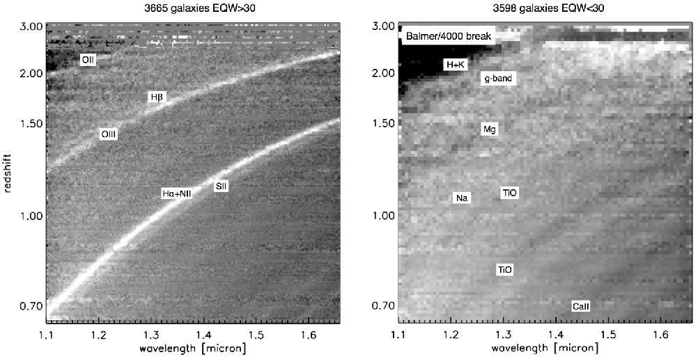 WFC3/G141 spectra from 3D-HST ~3600