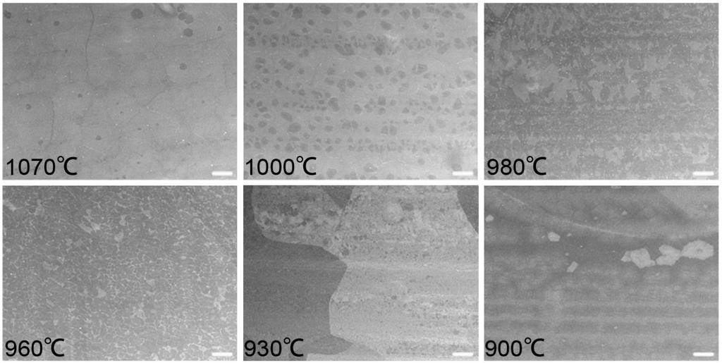 Figure S1. Growth temperature dependent graphene morphology. SEM images of graphene samples obtained under various growth temperature. All of the initial total gas flow rate are 1000 sccm.