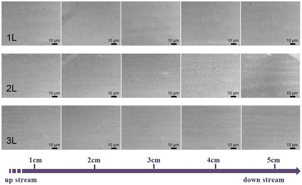 SEM images (Figure S5) of graphene samples were obtained every 1 cm from the up-stream Cu edge. Figure S5. Position dependent graphene morphology on Cu strip. A 1.5 6.