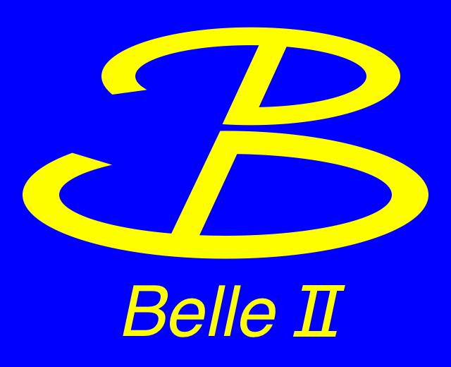 at the Belle II Experiment A.