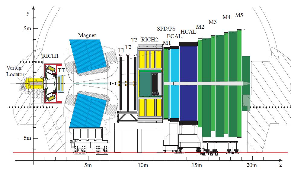 The LHCb experiment Dedicated to precision study