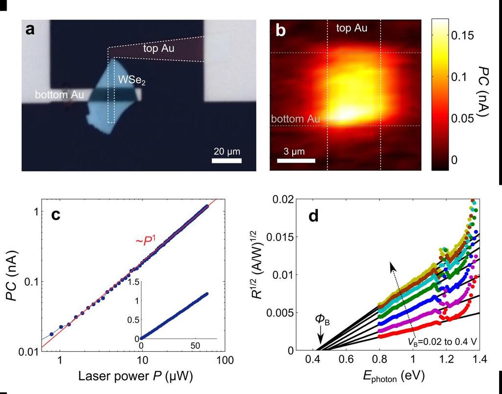 Supplementary Figure 4: Photocurrent measurements in Au/20-nm-thick WSe2/Au heterostructure. a) Optical image of the device. b) Photocurrent map performed at T 0 = 300 K and V B = 0.