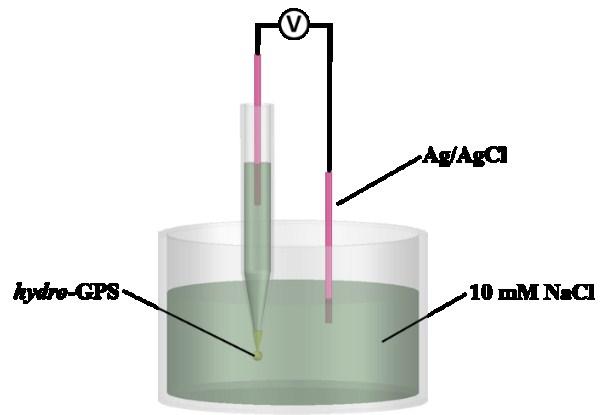 S6. Electrochemical and SERS spectroscopy measurements A two-electrode system is used in all the measurements with one Ag/AgCl wire inserted in the glass nanopipette and another Ag/AgCl wire immersed