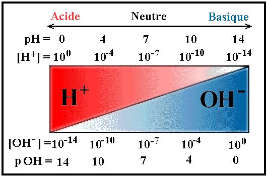 would get: K = [H + ][OH - ]= (1 x 10-7 )( 1 x 10-7 ) = 1 x 10-14 c) This is known as the self-ionization constant of water, and it means that at room temperature the concentration of hydrogen ions